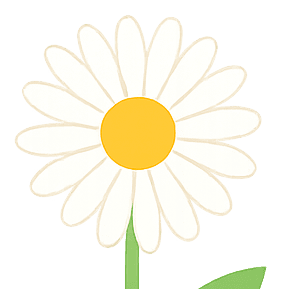 デイジーの花